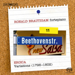 RB -  Beethoven- Complete Works for Solo Piano Vol 11 .jpg