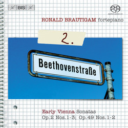 RB - Beethoven- Complete Works for Solo Piano Vol 2.jpg